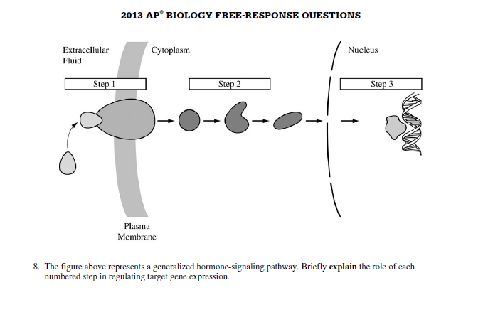 Ap biology essay questions